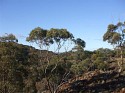 DSCF2522 (Medium).JPG